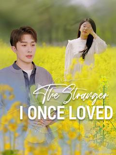 The Stranger I Once Loved