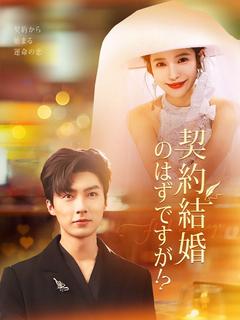 契約結婚のはずですが!?