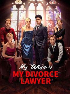 My Wife is My Divorce Lawyer